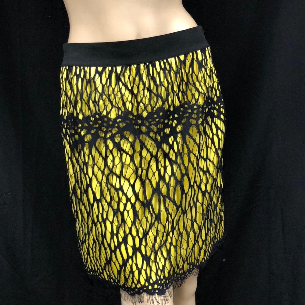 Robert Rodriguez skirt size 10